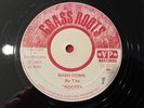 The Roots - Mash Down / Solja Man Skank -EX Vinyl -Grass Root Records 1977