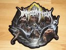 Vinyl Picture Shape LP 