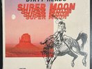 The Dirty Heads - Super Moon Vinyl - In Shrink - OOP - EX Condition - RARE