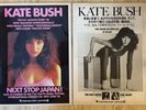 KATE BUSH 3 ORIG.  PROMO ADS 1978 - 1980 NEAR MINT JAPAN KICK INSIDE LION HEART