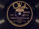 78 RPM -- The Irene Spain Family, Okeh 45322, E Country - Sacred - Autoharp