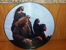 Rare Paradise Lost--Peaceville ‎–VILE 26 P Gothic-1991 Uk Picture Disc-Lp-Vinyl