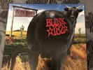 Dude Ranch BLINK 182  (Lmtd  Edition Red Vinyl, Dec-2016, Src Records) NEAR MINT