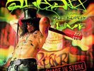 Slash Made in Stoke 24/7/11 (Vinyl)