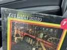 The Latin Breed Tex Mex GCLP 133 Self Titled  Tejano- NM