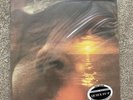 David Crosby – If I Could Only - Vinyl  - Classic Records Quiex SV-P - New