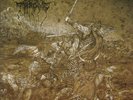 Darkthrone – The Underground Resistance with patch and Poster