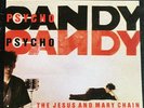 The Jesus and Mary Chain Psycho Candy Vinyl 1985 First Press Promo Copy RARE