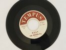 The Rockin R's - Heat/Nameless Tempus Promo TR-1507 Rockabilly 45 Vinyl VG