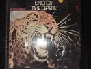 Peter Green The End of the Game orig LP very clean Fleetwood Mac
