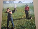 COSMIC PSYCHOS- DOWN ON THE FARM  LP,,ROCK, GARAGE, RARE