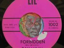 HEAR Ray Lynn 45 Forbidden / Breeze And I LIL teen teener popcorn EX