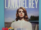 NM Vinyl 
