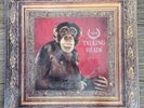 Sealed Talking Heads LP - Naked - Sire 9 25654-1 BMG Club Pressing 1988 Vinyl