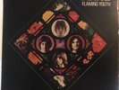 Flaming Youth - Ark 2 - Original 1969 Album
