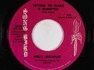 Northern Soul Funk Gospel 45 - Holy Disciples - Trying To Make A Hundred - mp3