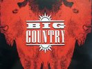 BIG COUNTRY The Buffalo Skinners 1993 Vinyl LP