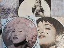 Madonna Picture Disc Vinyl Bundle 12