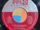 modern soul funk boogie 7” BAND AKA Rock & Rollerskates H.O.T.  Mp3 PPL 1980