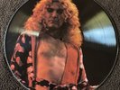 Led Zeppelin Picture Disc Robert Plant Interview I II III Record LP Vinyl Album