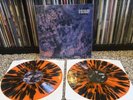 Between the Buried and Me -The Great Misdirect LIVE Orange Splatter Vinyl Colors