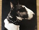 PIXIES   -   HERE COMES YOUR MAN  /  INTO THE WHITE    ORIG. 1989  UK   7