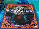 THE BOO RADLEYS - GIANT STEPS - Double Album -VG+