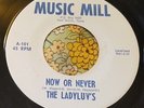 Rare Texas GIRLS IN THE GARAGE 45 The Ladyluv's I Don't Need You / Now EX HEAR