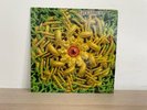 The Shamen – Transamazonia 12