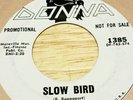 Rare Robbie Lawrence Promo 45 - 