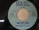 DERBY- HATVILLE: Turn Into Earth-You’ll Forget Me 1967 MINT Texas garage
