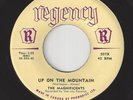 Doo Wop 45 - MAGNIFICENTS - Up On The Mountain / Why Did She Go