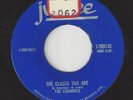 Doo Wop 45 - CHANNELS - The Closer You Are / Now You Know