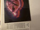 Steven Halpern CHRISTENING for LISTENING New Age/ Ambient Shrink 12”vinyl Lp