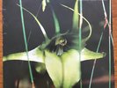 Psychic TV, Dreams Less Sweet, vinyl LP