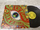 PSYCHEDELIC SOUNDS 13TH FLOOR ELEVATORS 1966 ORIG MONO LP NM