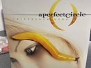 A Perfect Circle: Thirteenth Step Double Vinyl