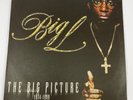 Big L The Big Picture 1974-1999 2x NM Vinyl LP 2000 Original Pressing Rawkus