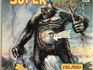 THE UPSETTERS SUPER APE VINYL LP ISLAND UK 1976 FIRST ORIGINAL PRESS PRO CLEANED