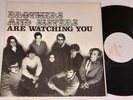 BROTHERS AND SISTERS - Are Watching You - Uk Lp PRIVATE PRESS