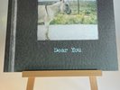 JAWBREAKER *Dear You* LP marbled blue vinyl Lim. Edition 1995 Alternative Rock