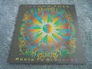 Jethro Tull - Roots To Branches 1995 UK DOUBLE LP CHRYSALIS 1st