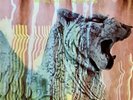 Gatefold Vinyl Album “Wolf City” by Amon Duul II