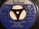 THE SLADE - WILD WINDS ARE BLOWING - Original UK issue on FONTANA - RARE 7