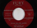Doo-Wop 45 - Lewis Lymon & The Teenchords - Please Tell The Angels - Fury - mp3