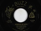 Doo-Wop 45 - Three Dots - Window Of Love - Buzz - VG+ mp3