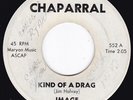 Doleful Chicago Teenbeat Garage IMAGE Kind of a Drag / Wine 45 Chaparral HEAR