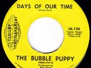 TX Psych Hard Rock BUBBLE PUPPY Days Of Our Time 45 International Artists HEAR
