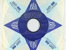 Garage Psych 45 - The Haunted - 1-2-5 - Amy - mp3