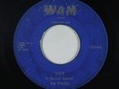 Garage 45 - Fortels - She/Merry Go Round - WAM - mp3